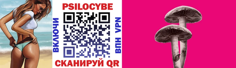 Псилоцибиновые грибы прущие грибы  хочу наркоту  Невельск 